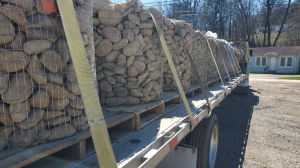 274612342_491300492522445_885580985915846805_n